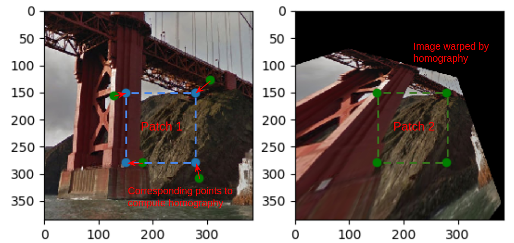 dataset generation procedure